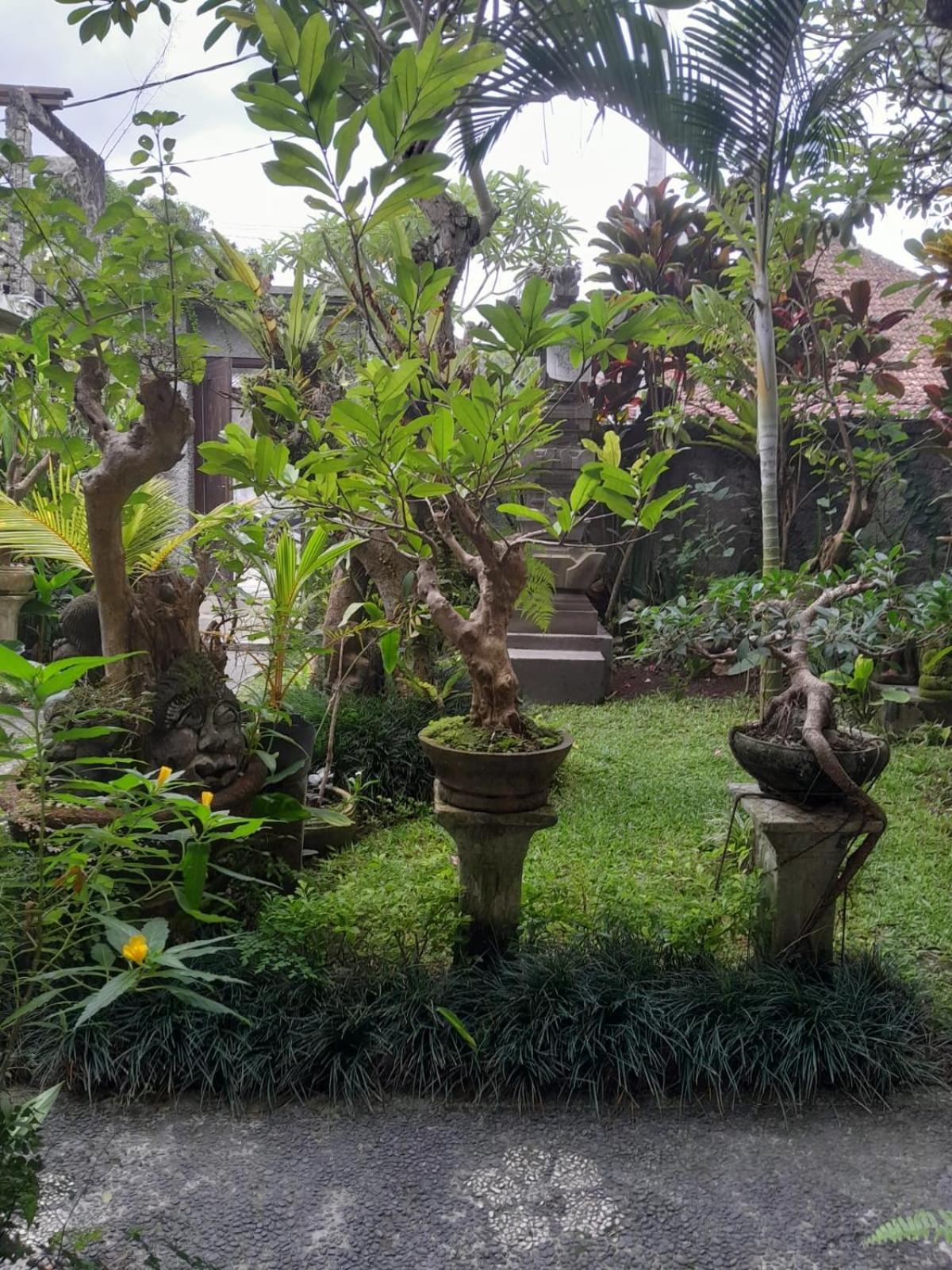 Soka Homestay อูบุด ภายนอก รูปภาพ