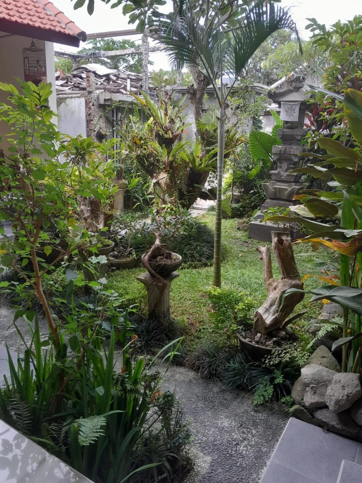 Soka Homestay อูบุด ภายนอก รูปภาพ